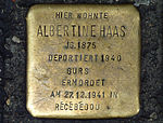 Stolperstein für Albertine Haas (Kaiser-Joseph-Straße 278)