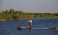 الصيد في بحيرة مريوط بجانب الطريق