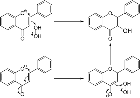 Mögliche Mechanismen