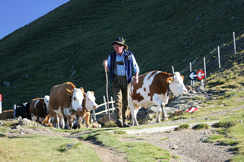 File:Almabtrieb nach Bad Kleinkirchheim (4856433617).jpg