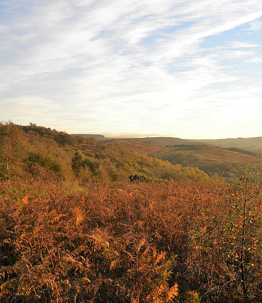 File:Along the edge of the hills - geograph.org.uk - 5961215.jpg