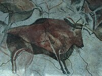 Altamira, bison, museum 02.JPG