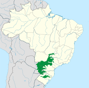 Alto Paraná Atlantik Ormanı.png