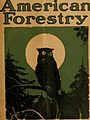 American forestry (1910-1923) (17524766873).jpg