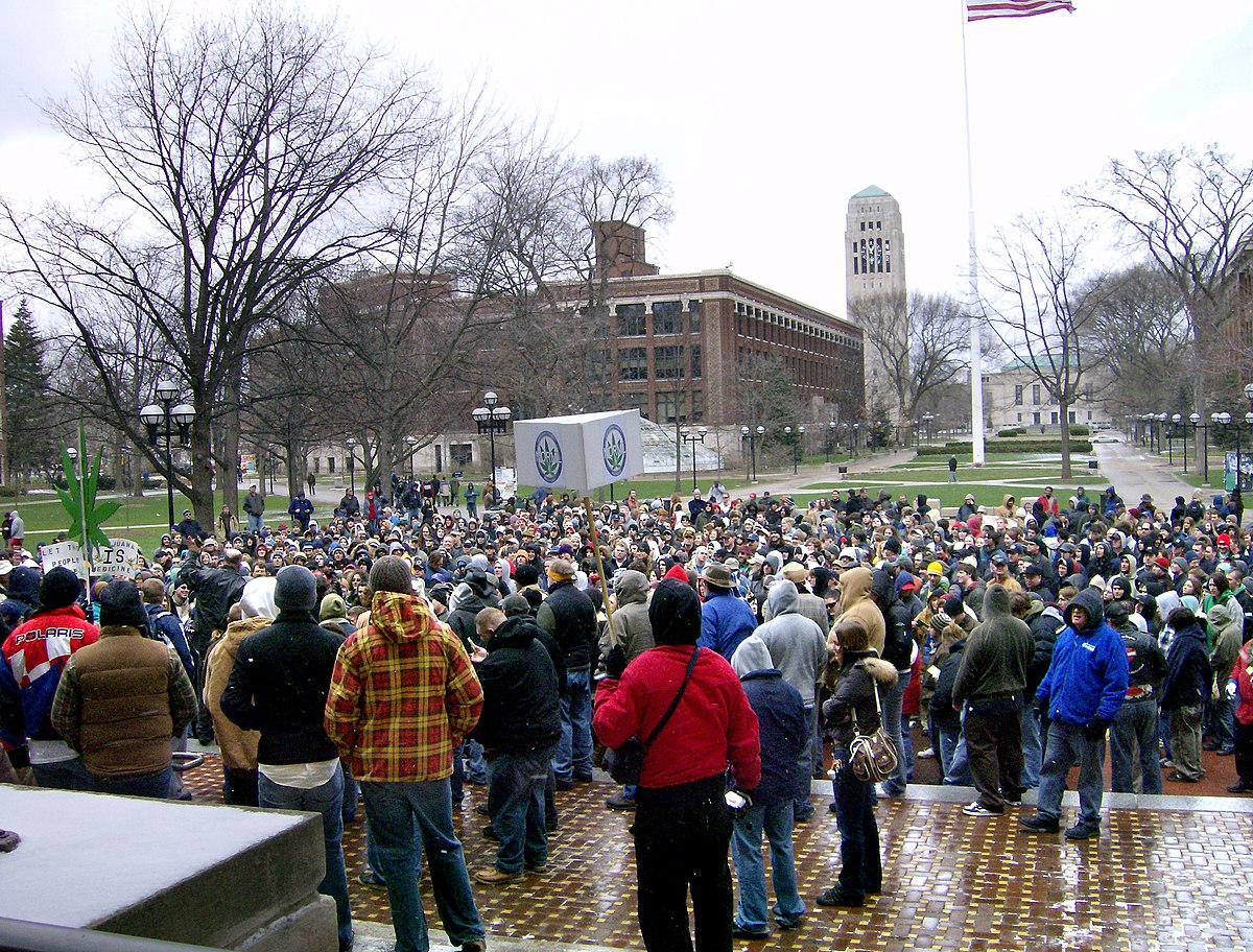 Hash Bash Wikipedia