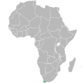 Range of Argyrolobium splendens