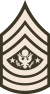 Army-USA-OR-09a (exército verde).svg