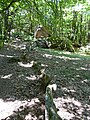 L'alignement de pierres bij de cromlech du Puy de Pauliac, Aubazines, Frankrijk