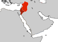 Ayyubid Dynasty