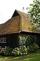 Barn with hydrangea and ivy in Monkton Kent England.jpg