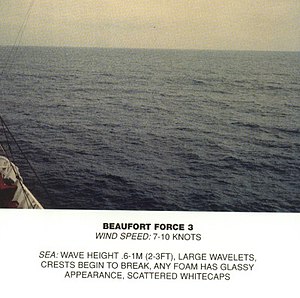 Beaufort-Skala, Kraft 3