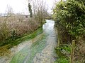 Thumbnail for File:Bere Regis, Bere Stream - geograph.org.uk - 3405239.jpg