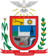 Official seal of Foz do Jordão