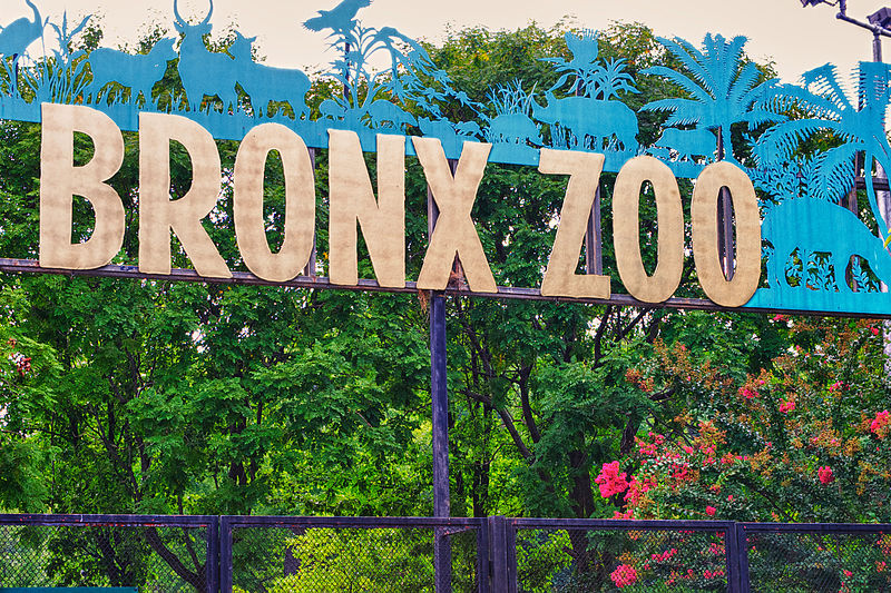 File:Bronx Zoo sign.jpg