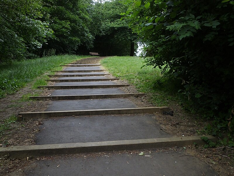 File:Broomhill Steps 8955.JPG