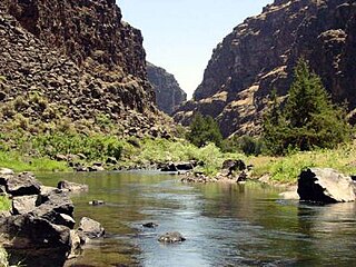 <span class="mw-page-title-main">Bruneau River</span> River in Idaho and Nevada, United States