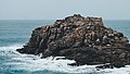 "Bryher,_United_Kingdom_(Unsplash).jpg" by User:Fæ