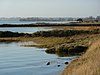 Stur Estuary