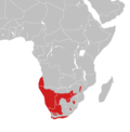 Miniatuur voor Bestand:Calechidna distribution.png