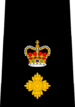 Polícia de Calgary - Superintendent.png