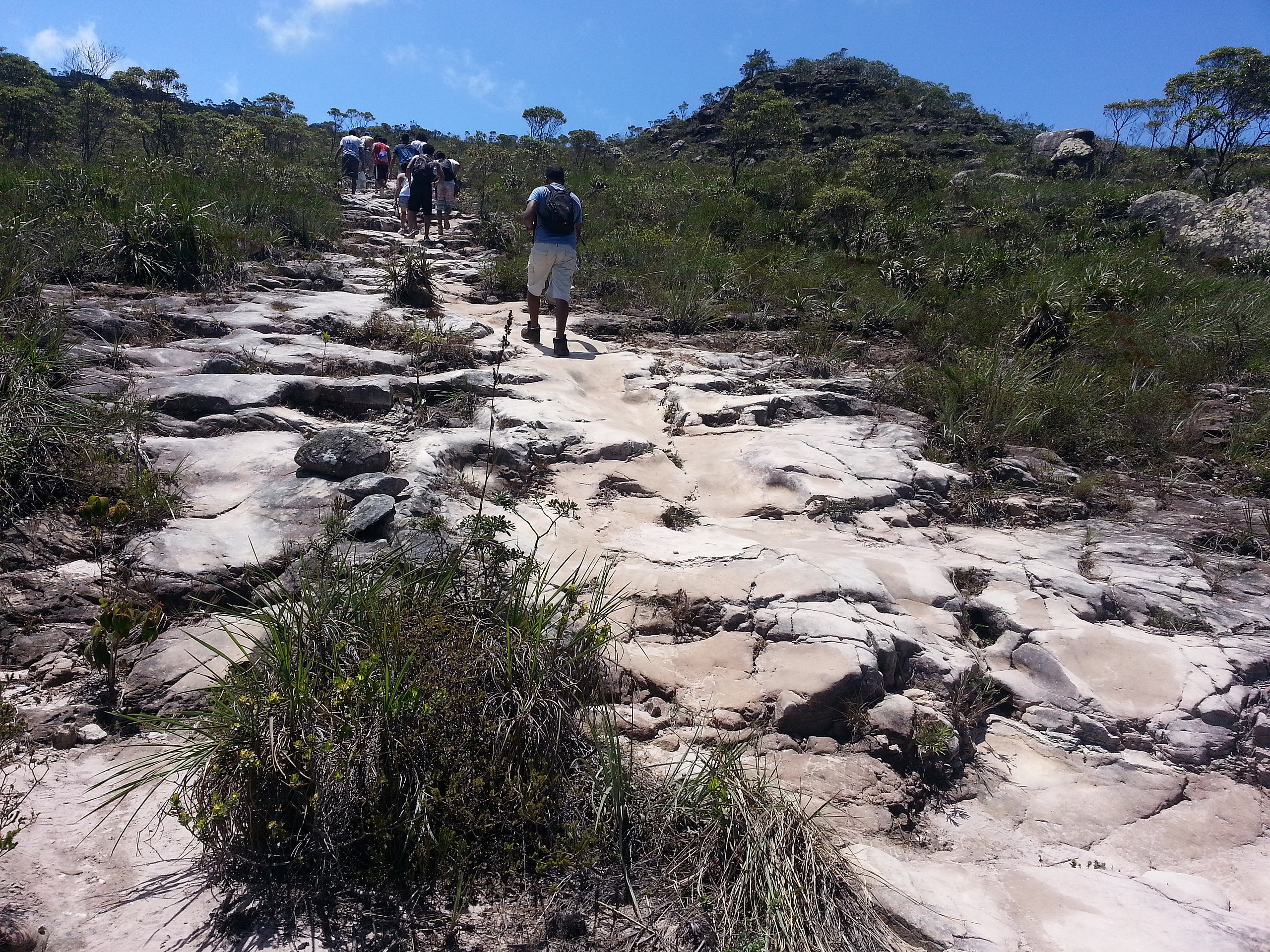 Desenho esquemático do habitat vala na Fumaça, Chapada Diamantina