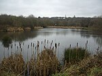 Shire Brook Valley Local Nature Reserve