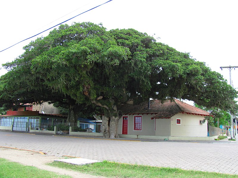 File:Casa em Arambaré 001.JPG