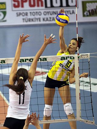 <span class="mw-page-title-main">Cemre Erol</span> Turkish volleyball player