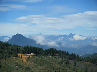 <span class="mw-page-title-main">Cerro Bravo</span> Volcano in Colombia