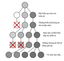 Tương Lai Của Sinh Học Và Công Nghệ