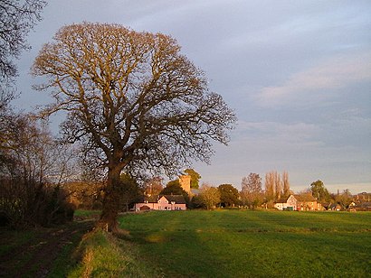 How to get to Cheddon Fitzpaine with public transport- About the place