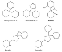 Phencyclidine (PCP), ketamine, etoxadrol and dexoxadrol all contain phenyl and amino groups, which bind to the PCP site on the NMDA receptor. Tenocyclidine contains a thiophene ring instead, which is bioisosteric with a phenyl ring. Chemical Structures.png