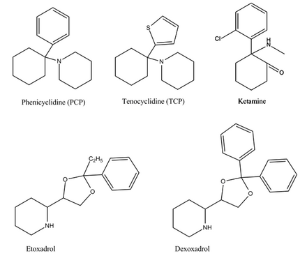 Phencyclidine (PCP), ketamine, etoxadrol and dexoxadrol all contain phenyl and amino groups, which bind to the PCP site on the NMDA receptor. Tenocyclidine contains a thiophene ring instead, which is bioisosteric with a phenyl ring.