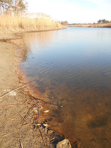 File:Cherkas'kyi district, Cherkas'ka oblast, Ukraine - panoramio (1159).jpg