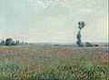Claude Monet - Poppy Field - Google Art Project (430231).jpg
