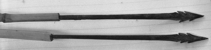 File:Close-up of late 19th - early 20th century iron-tipped arrows owned by Mamadou Mansaray, Bafodia, Sierra Leone (West Africa) (2078175703).jpg