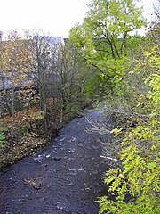 Colne Water from Bridge Street Colne