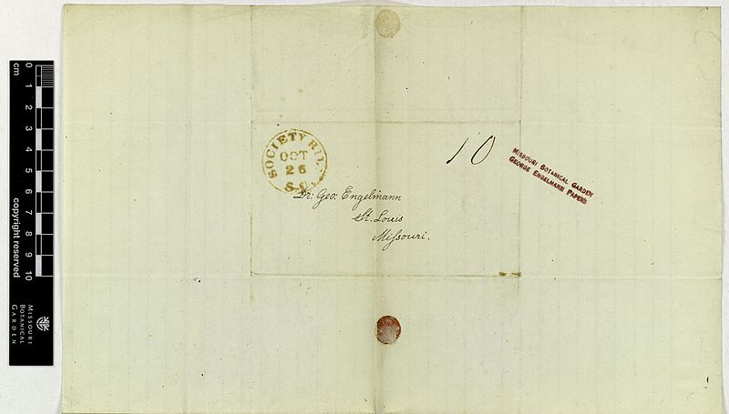 File:Correspondence - Curtis (Moses) and Engelmann (George) (Oct 25, 1848 (2) verso) BHL42884924.jpg