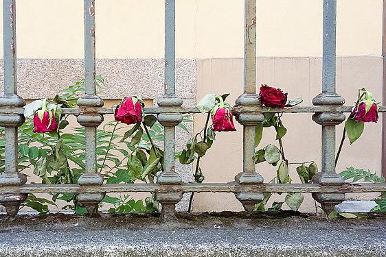 Milano, Corroded railing with roses