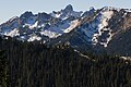 Cowlitz Chimneys