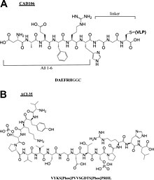 Chemical structures of peptide components of Alzheimer peptide vaccines (A) CAD106 and (B) ACI-35. Cr9b00472 0009.jpg