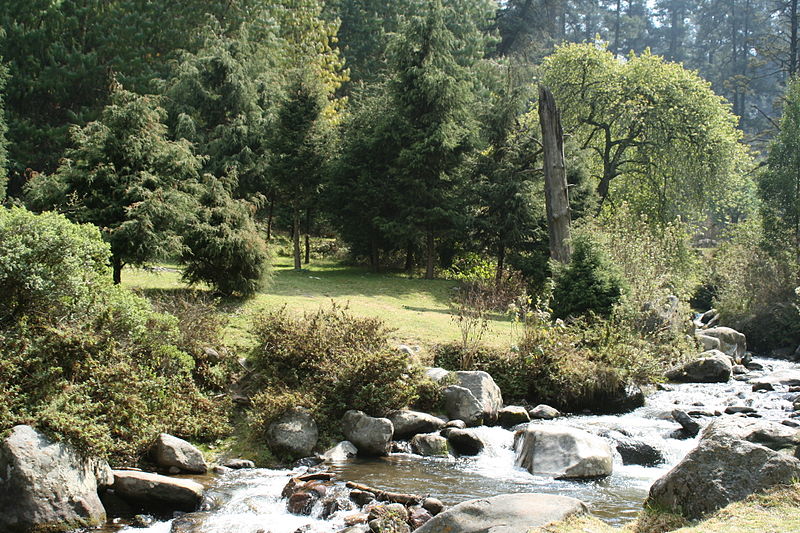 File:Creek (Los Dinamos).jpg