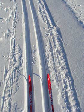 Cross-country skiing trail