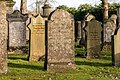 * Nomination Jewish cemetery in Dülmen, North Rhine-Westphalia, Germany --XRay 06:00, 18 February 2023 (UTC) * Promotion  Support Good quality.--Agnes Monkelbaan 06:02, 18 February 2023 (UTC)