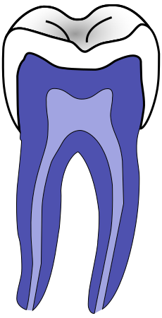 File:Dentistry stub.svg