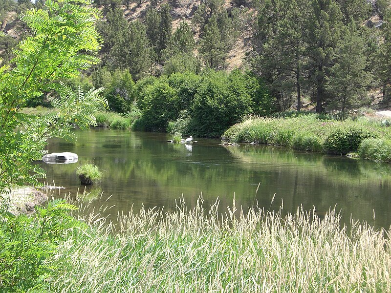 File:Deschutes River at Cline Falls State Park, Oregon.JPG