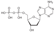 Deoxyadenozíndifosfát