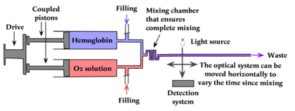 Diagram of continuous flow spectrometer for reactions with half times of a few milliseconds Diagram of continuous flow.png