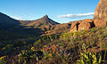 Disaster Peak and spring wildflowers in 2013