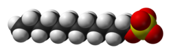 Space-filling model of the dodecyl sulfate ion